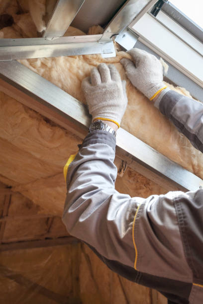 Best Wall Insulation Contractor  in New Franklin, MO