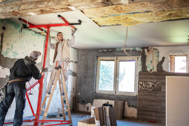 Best Insulation Inspection Services  in New Franklin, MO
