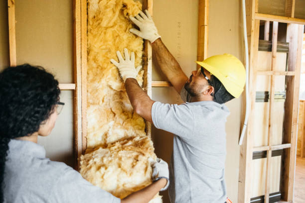Best Garage Insulation Installation  in New Franklin, MO