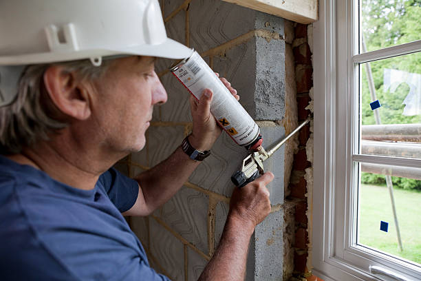 Best Cellulose Insulation  in New Franklin, MO