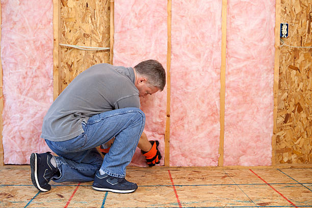 Best Soundproof Insulation Installation  in New Franklin, MO