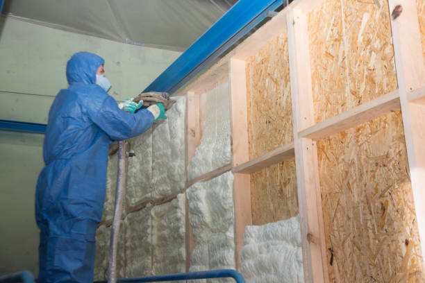 Best Insulation Contractor Near Me  in New Franklin, MO