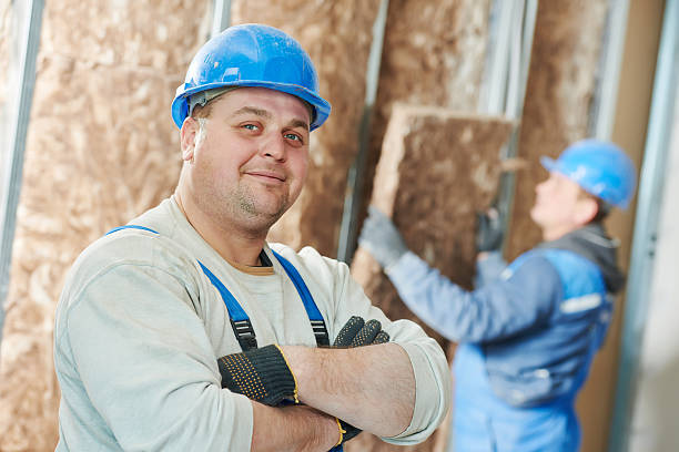 Best Best Insulation Companies  in New Franklin, MO