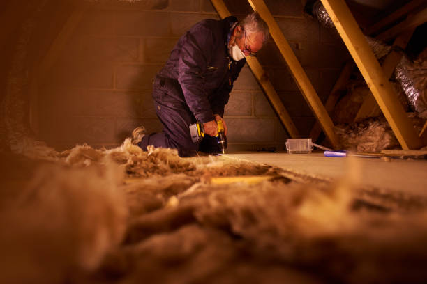 Best Professional Insulation Contractor  in New Franklin, MO